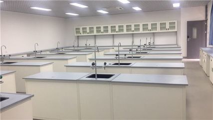 藍恩勵 專業(yè)中小學實驗室升級改造與儀器儀表配套服務