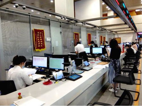 科技賦能，服務(wù)百姓——北京順義區(qū)創(chuàng)新技術(shù)服務(wù)模式探秘